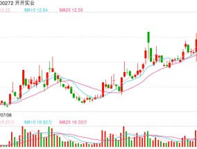 开开实业披露证券募集说明书：拟定增募资不超2.05亿元用于补流 公司综合毛利率逐年走低