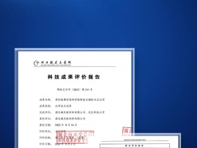 2024年新奥门开奖结果，安逸精选答案落实_青铜版140.11