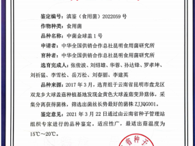 2024澳门全年资料大全免费，合股精选答案落实_GG720.1