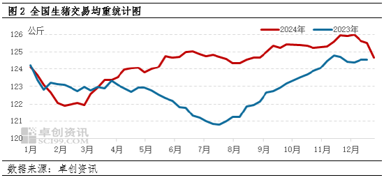 卓创资讯：2024年生猪养殖盈利提升明显 2025年仍或维持盈利