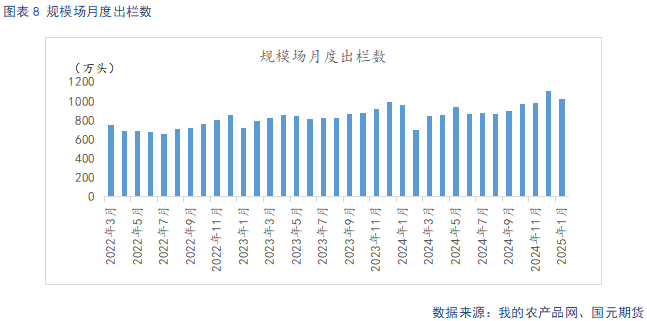 【生猪】近月盘面低位反弹 供需宽松压制上行预期